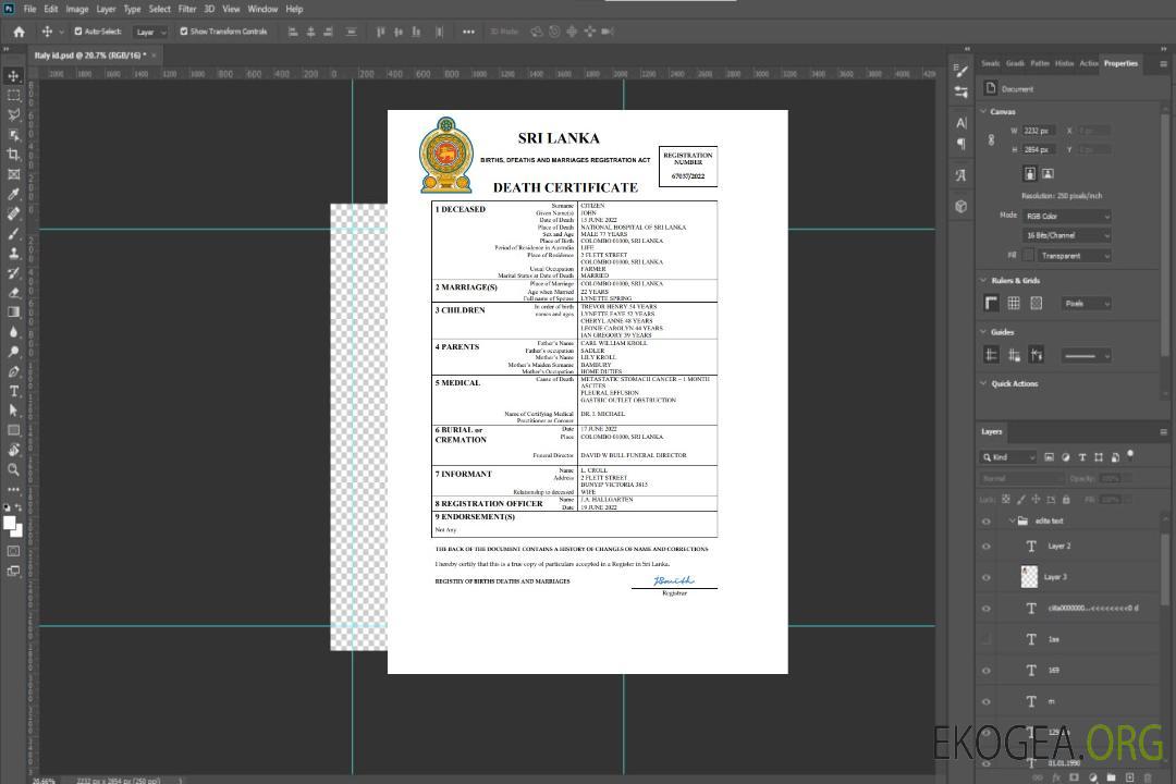 Modèle Word et PDF de certificat de décès de l'état civil du Sri Lanka template